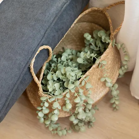 Smaragd Adriatic * Piran