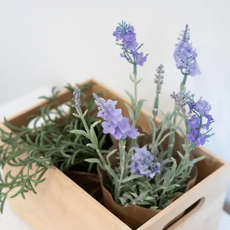 Smaragd Adriatic Apartman Piran