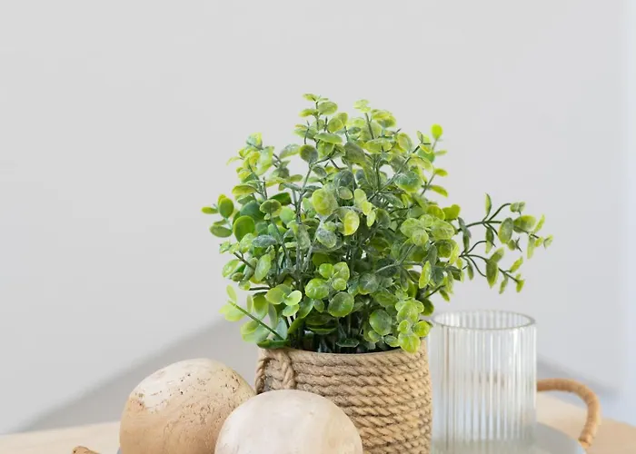 Smaragd Adriatic Daire Piran