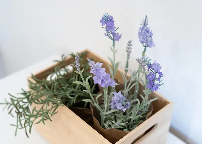 Smaragd Adriatic Daire Piran